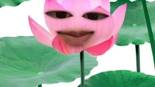 我狠透了这些该死的高校行政，你们了不起，你们清高，你们人上人，我活该
