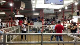 January15 2hits 🏆 sa ibaan Malainin Cockpit arena