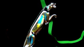 "أنا الآن الأقوى في العالم."