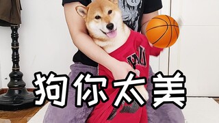 【คู่สามีภรรยาชิบะอินุ】ชิบะอินุก็ร้องเพลง เต้น แร็ป และเล่นบาสเกตบอลได้เหรอ? ฉันแนะนำให้คุณฟังการแสดง