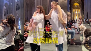 You can bring your pet to St. John's Cathedral to be blessed 💗