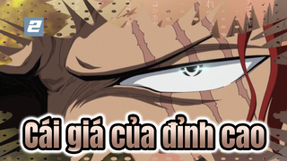 Cái giá để đi tới đỉnh cao? | One Piece_2