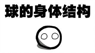 【波兰球】球体论（一）