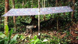 60 NGÀY THỬ THÁCH SINH TỒN SỐNG TRONG RỪNG | Tập 18 | HÀNH TRÌNH TÌM CHỖ TRÚ ẨN  MỚI | HTV