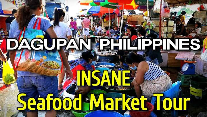 DAGUPAN CITY SEAFOOD MARKET of PANGASINAN | BIGGEST FISH MARKET to Buy BANGUS in Philippines