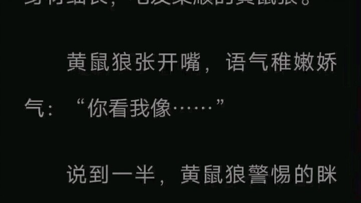 Cuối cùng cũng hiểu vì sao chồn đất sợ thế giới 2D rồi, kinh dị quá mức luôn!