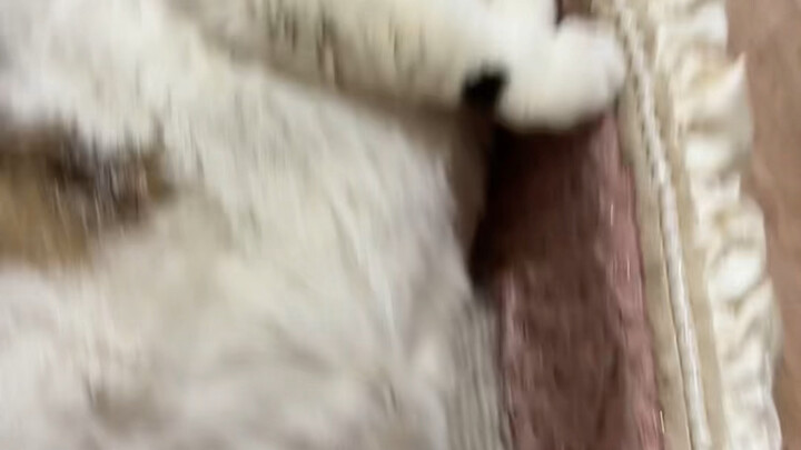 Gold-Medal Scratcher Is Online