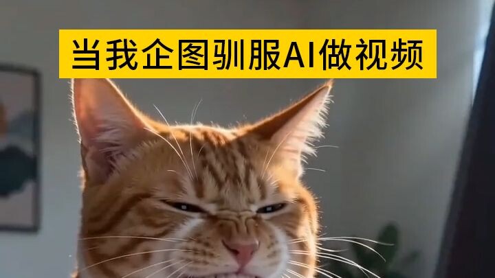 เมื่อฉันพยายามฝึก AI ให้ทำวิดีโอ