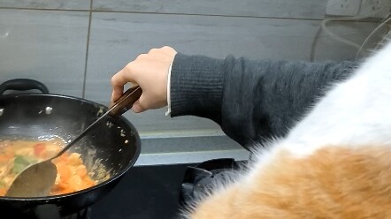 A cute little orange cat who even needs to be held while cooking.