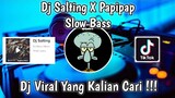 DJ SALTING X PAPIPAP SLOW BASS VIRAL TIK TOK TERBARU 2021 YANG KALIAN CARI !