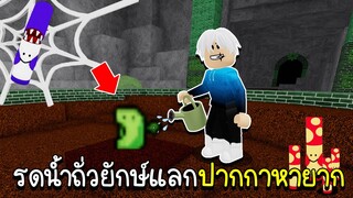 Roblox : รดน้ำต้นถั่วยักษ์แลกปากกาหายาก 2000 ปี!!!🖍🌿 Find The Markers