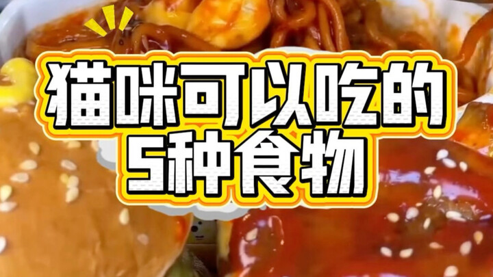 แมวมักนั่งมองตาแป๋วขออาหารอยู่เสมอ? ของ 5 อย่างนี้ให้ได้แต่น้อยๆ อย่าให้แบบสุ่มสี่สุ่มห้า!