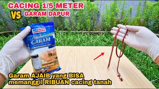 EKSPERIMEN: CACING vs GARAM DAPUR