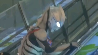 猫坐电梯、猫小心、猫好