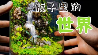 玻璃瓶中的小世界——手工制作一个清凉感十足的生态瓶