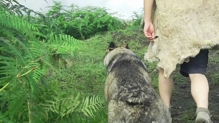 Hila, câu chuyện về một cô nàng sói xanh