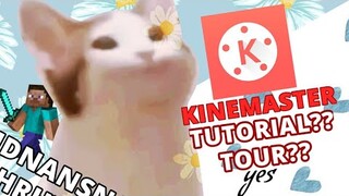 KineMaster Tutorial/Tour! (Basic for Beginners)