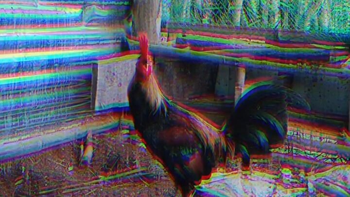 Winning Hatches, Speed, Power and Gameness