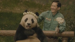 ซ่งเป่าวางพวงหรีดให้ฟู่เป่าเป็นครั้งสุดท้าย