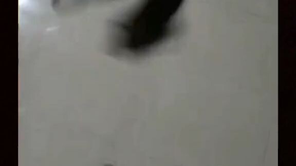 niat mau kasih ke kucing malah lepas🤣🐭