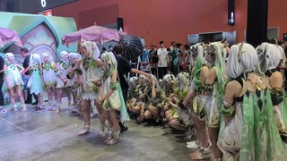 萤火虫漫展上一群纳西妲围攻散兵