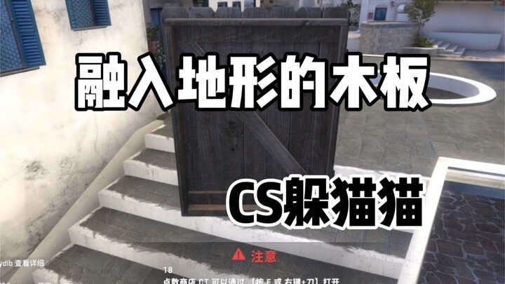 CSGO Hide and Seek: The Door Is Just Too Logical