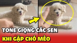 Trung bình TONE GIỌNG của các con Sen khi thấy Chó Mèo 😂 | Yêu Lu