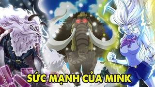 Luffy Gáy Đánh Bại 2 Tứ Hoàng ,Sức Mạnh Tiềm Ẩn Của Mink SuLong, [Bình Luận One Piece 997]