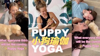 国外超火的小狗瑜伽！这是什么神仙体验！！！！