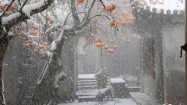 Tại sao chúng ta phải đọc nhiều sách? Chẳng hạn, khi nhìn thấy tuyết phủ đầy cây hồng, bạn sẽ nói: “