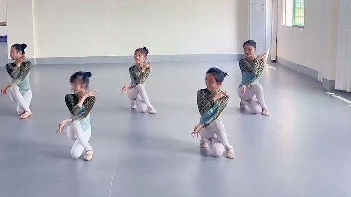 My fairy dolls