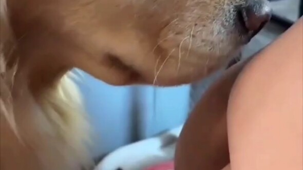 ความคิดทั้งหมดเขียนไว้บนใบหน้าแล้ว