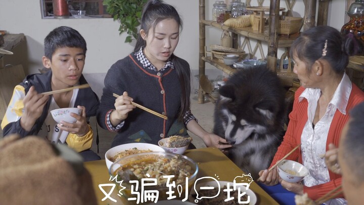 Đại vương~ để tôi tự giới thiệu lại một lần nữa: Tôi là một chú cún ngoan nhỏ 🐶🐶