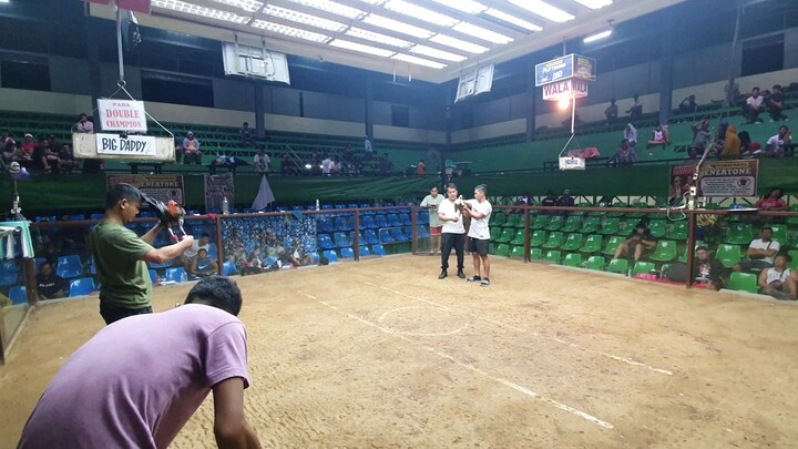 SRCA Last fight (double champion) second entry