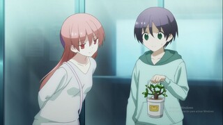 Cuộc Sống Hôn Nhân Thú Vị - Tonikaku Kawaii AMV