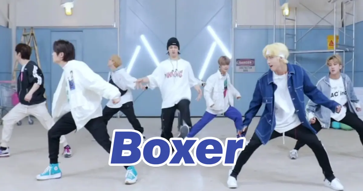 Stray kids boxer перевод. Boxer Stray Kids. Перевод Boxer Stray Kids.