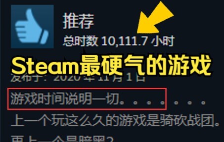 The most awesome game on Steam, I lose if it goes on sale!