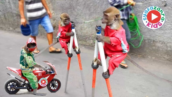 FUNNY MONKEY, TOPENG MONYET LUCU Full Attraction