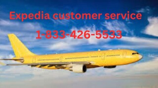 91 Ways To Contact United Airlines Customer Service By Phone, Chat and Email Options: Quick Tips
