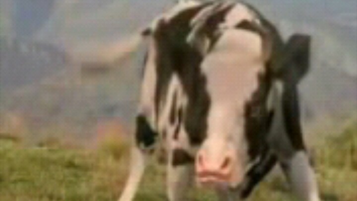 حرب الإنسان والبقر.3gp (كلما كانت الصورة أكثر ضبابية، كلما كانت الطفولة أكثر وضوحًا)
