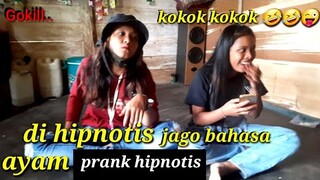 Hipnotis lucu banget wanita jago bahasa ayam bikin ngakak