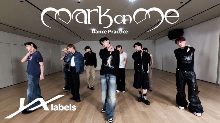 &TEAM 'Mark on Me' Dance Practice (Moving version)