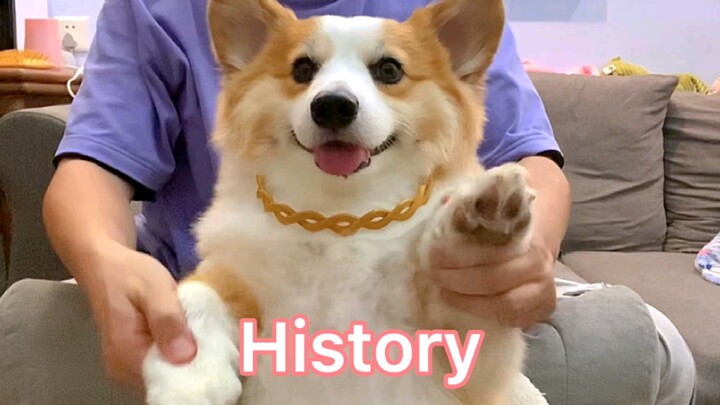 Boss Pi's Hot Dance丨History