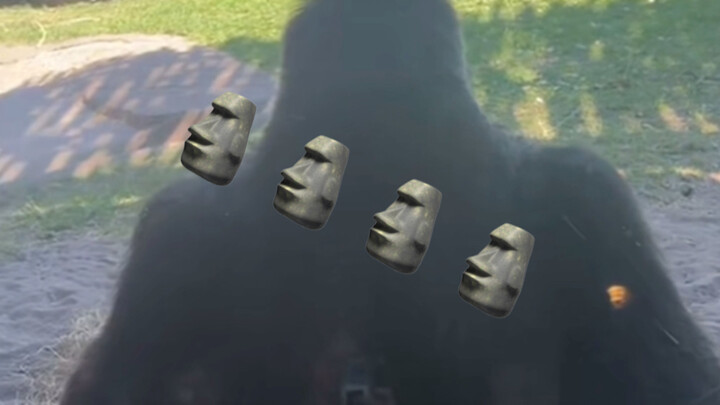 ซิกม่า กอริลลา🗿🗿🗿🗿🗿🗿🗿🗿🗿