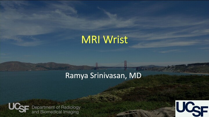 Wrist Ligaments & Tendons