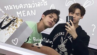 opv ไบร์ทวิน —หมายความว่าอะไร (MEAN) ไบร์ทวิน