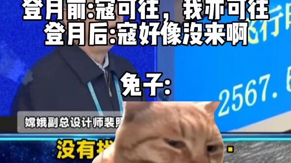 Rabbit: Eagle-chan, you…