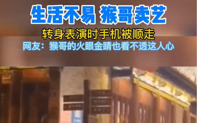 ชีวิตไม่ง่าย พี่หมาลิงออกแสดงหาเลี้ยงชีพ พอหันหลังไปแสดง โทรศัพท์ก็โดนหยิบไปเลย! ชาวเน็ตบอก: “แม้แต่