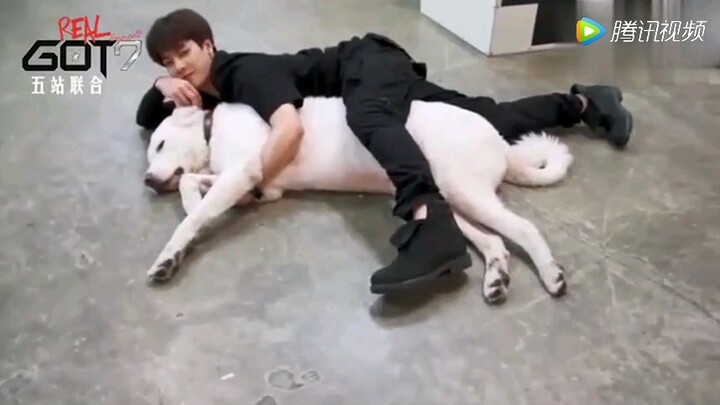 Jackson Wang rides a dog! Thanks to the dog for holding back from biting him—though deep down, the d