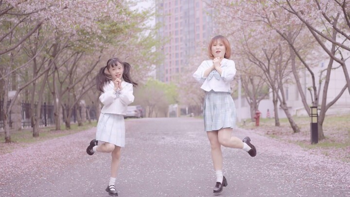 [Miyuki x Ruirui] Cherry blossoms and dreams ❀ blooming brilliantly [BDF2021-Blooming with dreams]